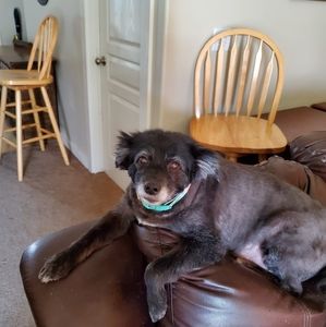 Meet your Posher, Ruth